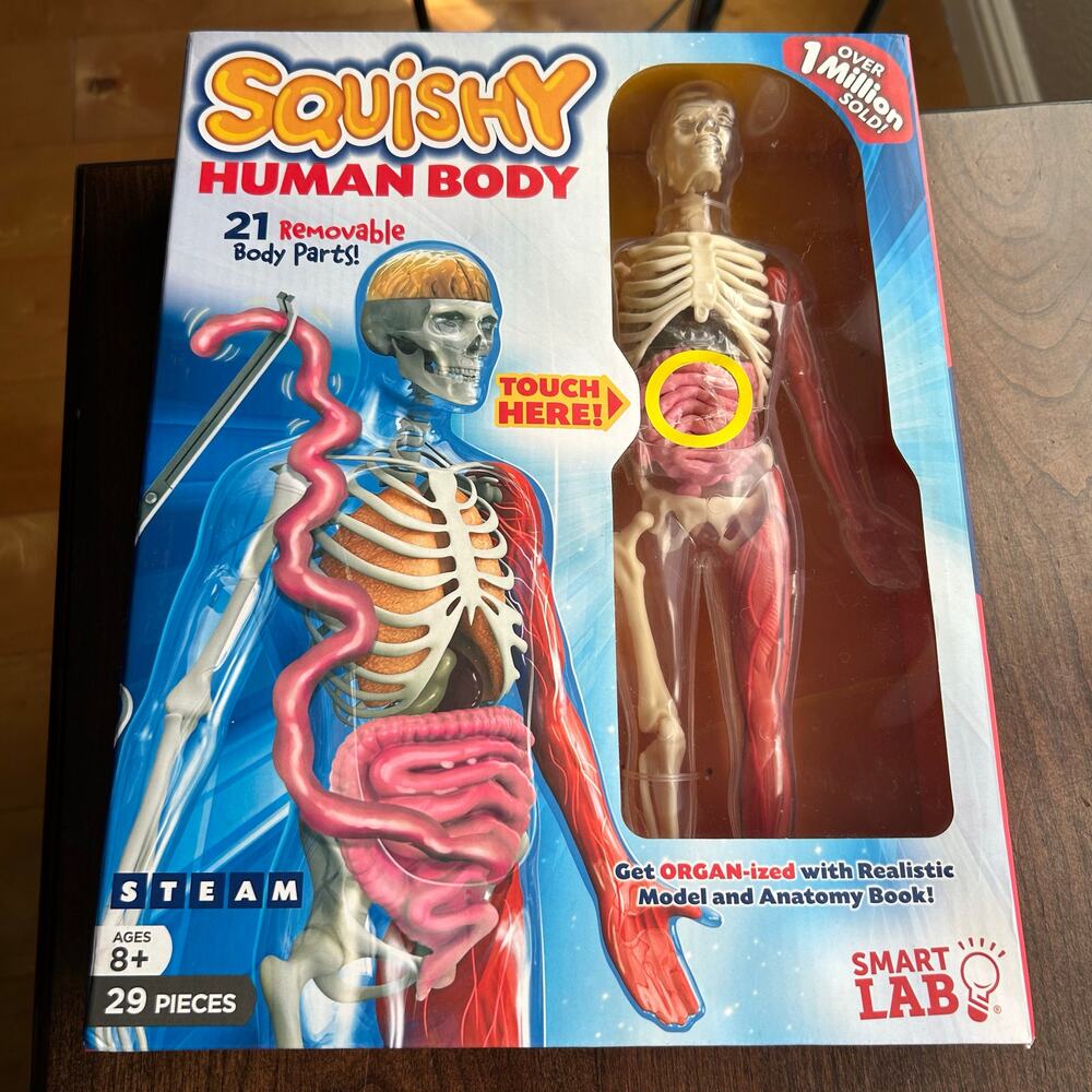 SmartLab Toys Squishy Human Body science kit